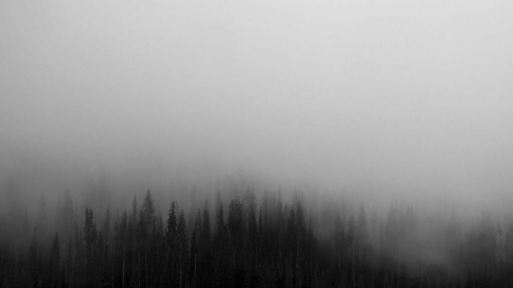 Тайский бокс (Муай-тай)