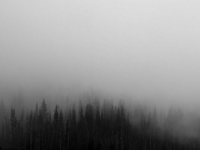 Тайский бокс (Муай-тай)